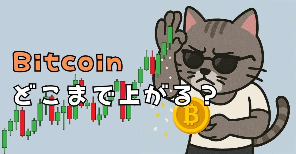Bitcoinは2025/05/21に見事ATH（All Time High；上場来高値）しました。 「11万ドルは通過点！30万ドル！」との声も聞こえてきます